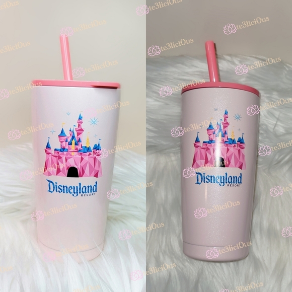 Disney Other - DISNEYLAND STARBUCKS CASTLE STAINLESS STEEL BOTTLE